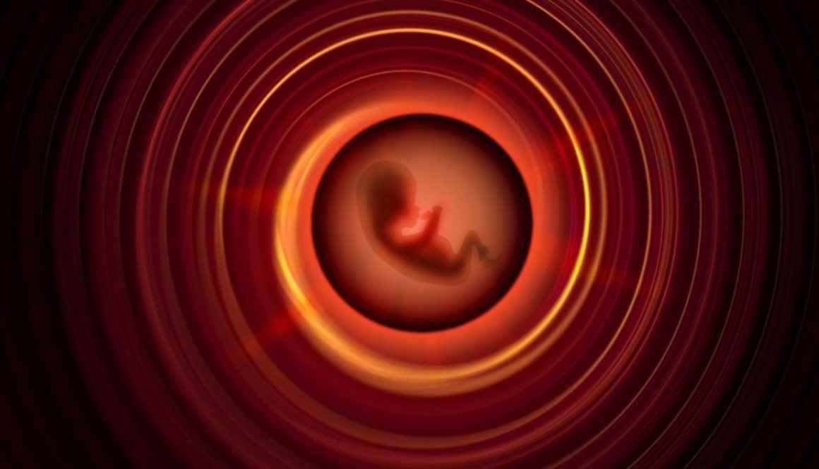 Veinticinco años de embriones congelados