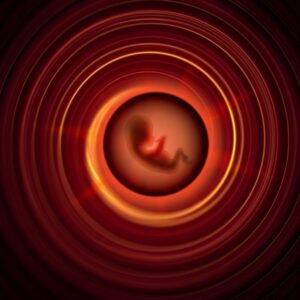 Veinticinco años de embriones congelados