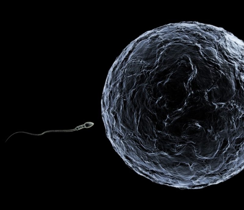 Vinculan fecundación in vitro con mayor riesgo de defectos congénitos