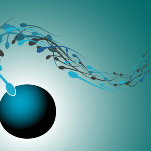 Yogures de vainilla y fertilidad masculina