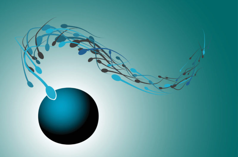 Yogures de vainilla y fertilidad masculina