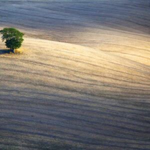 Beta hCG baja: qué pasa cuando no llega a los 100 mUI/ml