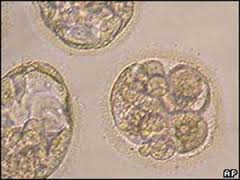 ¿Cuál es el porcentaje de embarazo con dos embriones de clase C congelados?