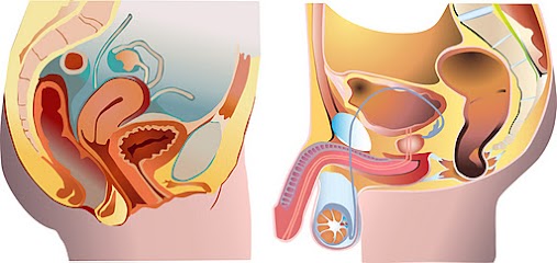 ¿Debería ir a una clínica de Reproducción?