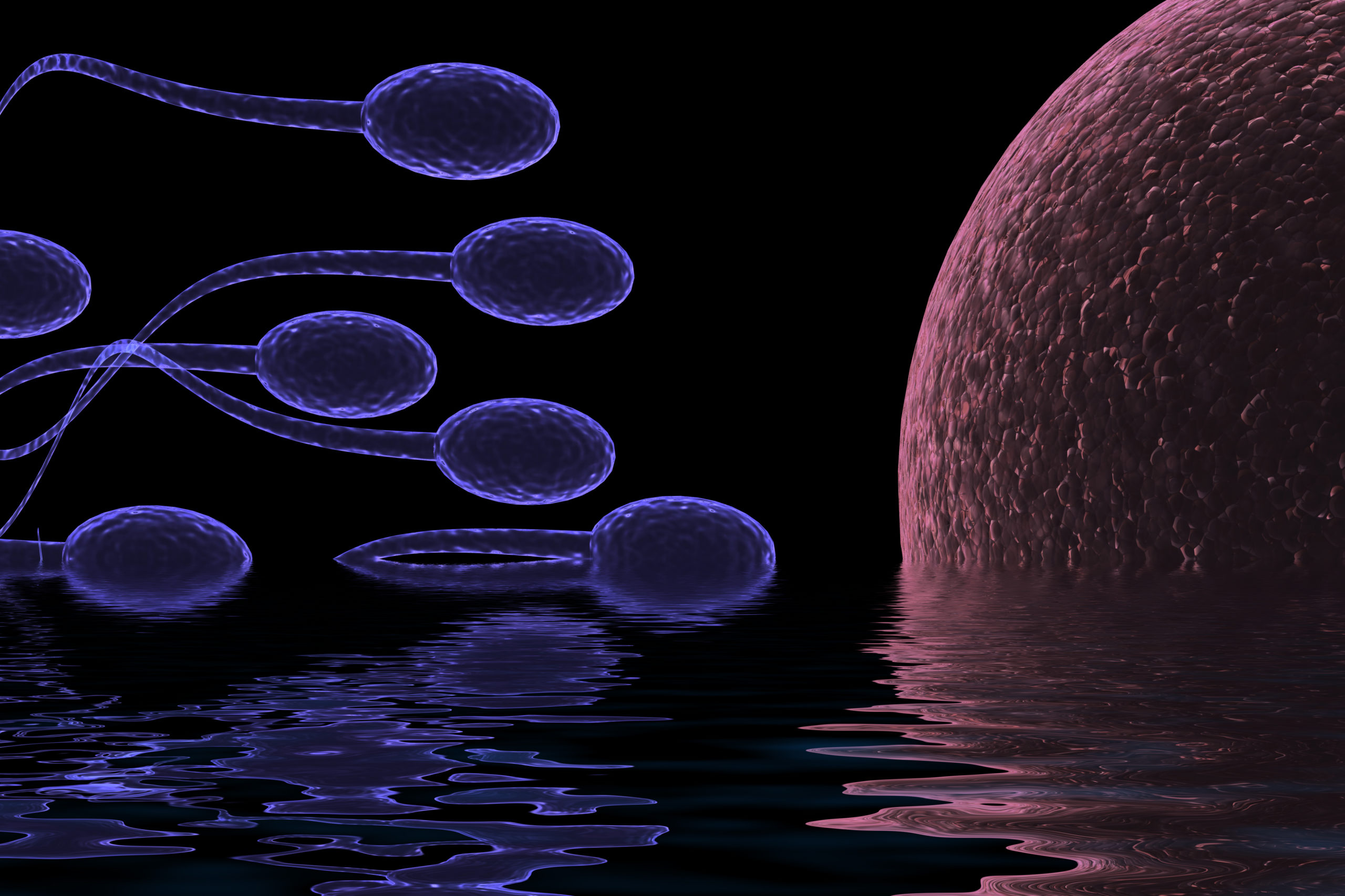 ¿Tengo posibilidades de éxito con el resultado del espermiograma de mi pareja?