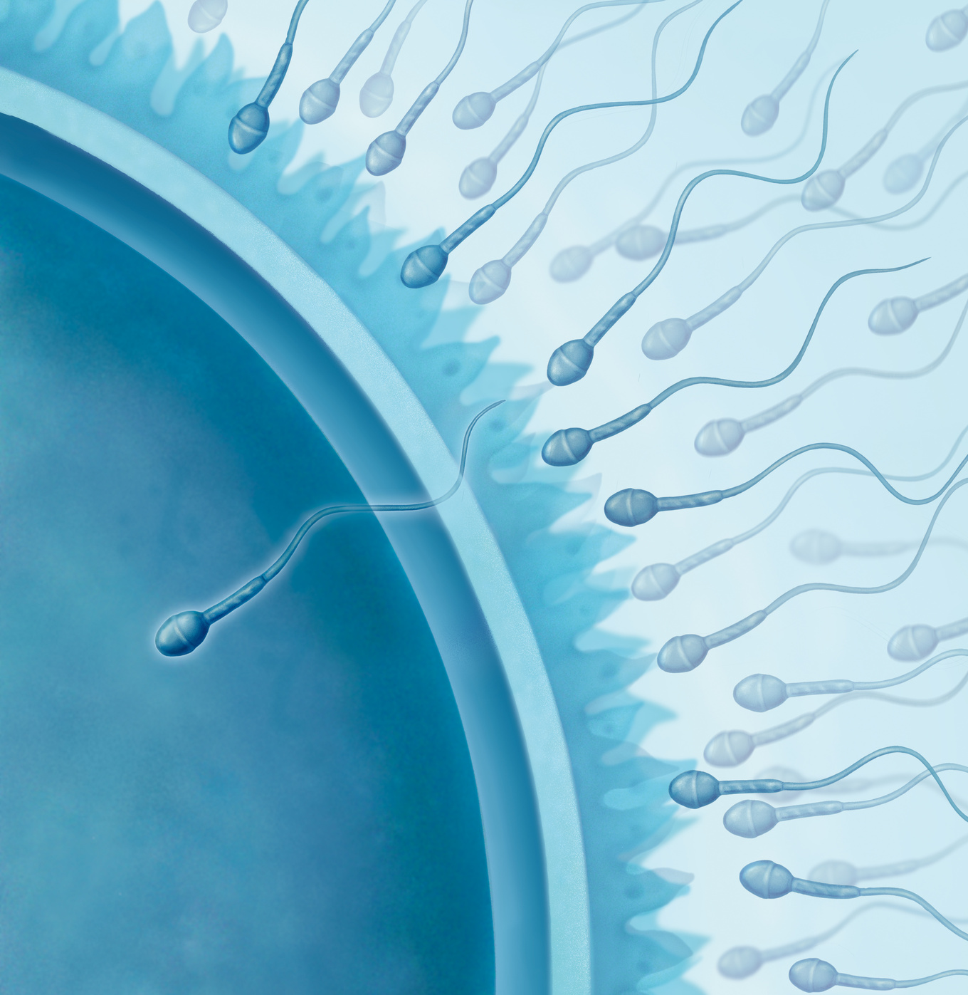 ¿Existen complejos vitamínicos para el varón para mejorar su calidad de semen?