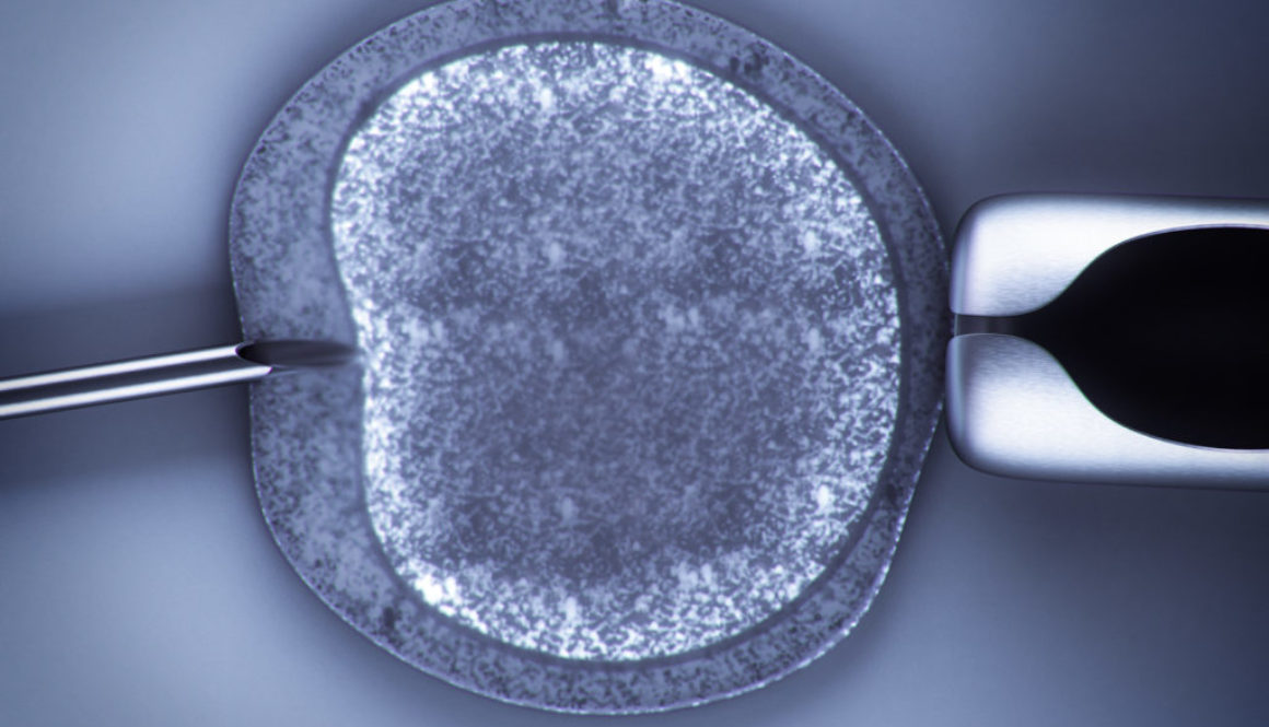 ¿Habrá perjudicado algo a los embriones que me han transferido?