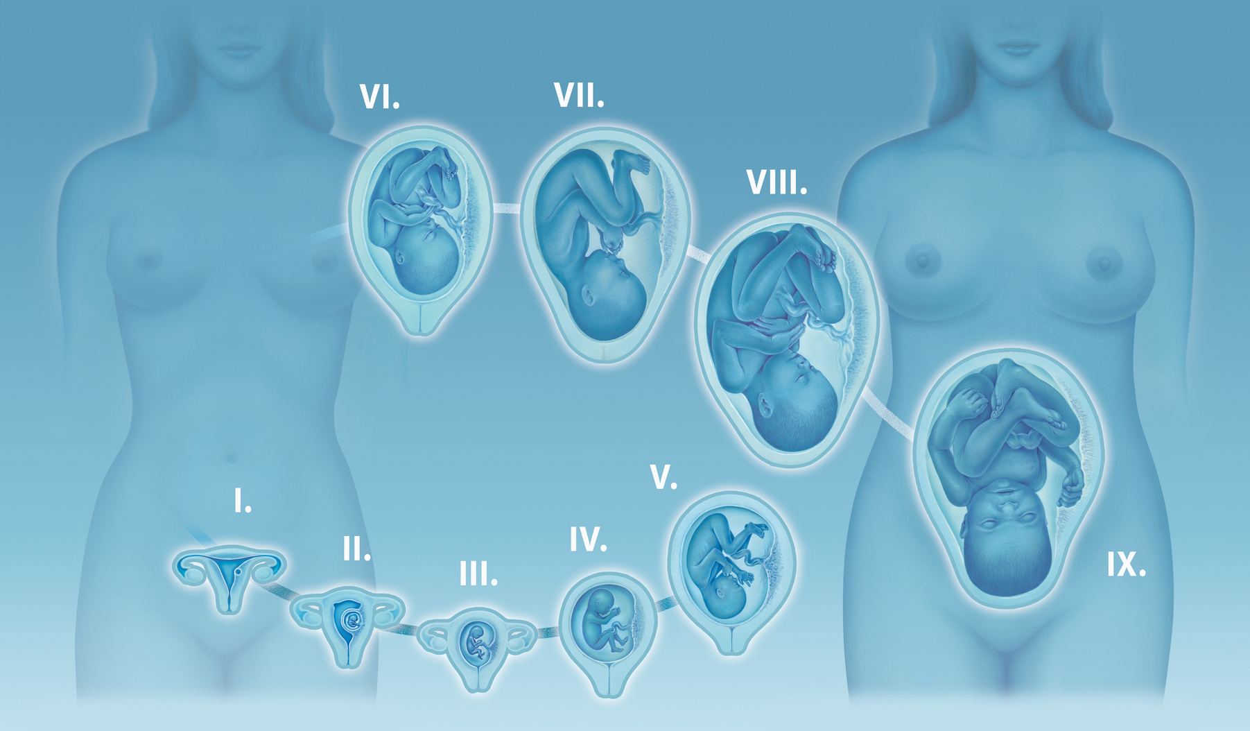 ¿Debería de acudir a un centro de fertilidad después de sufrir dos abortos?