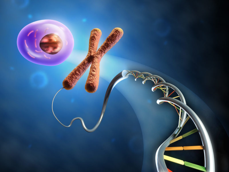 From Dna to cell From Dna to cell