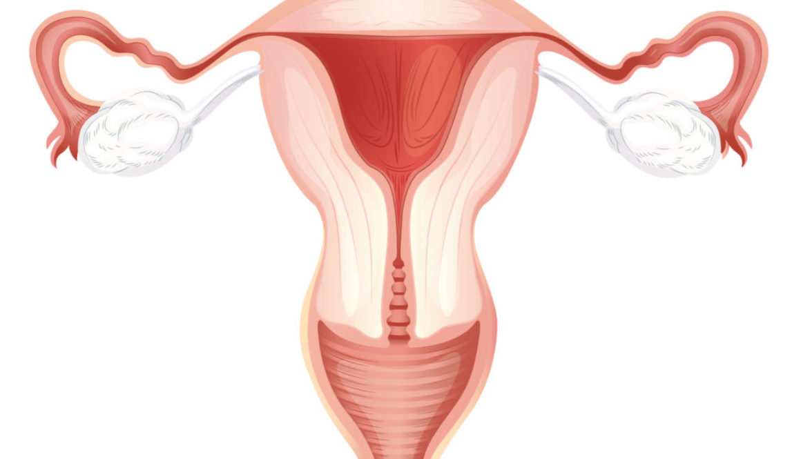 ¿A partir de qué medida se considera un endometrio apto para la implantación?