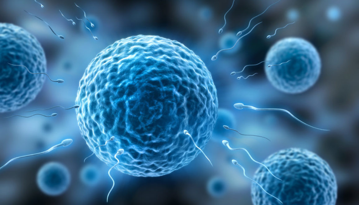 ¿Qué se considera un buen recuento de espermatozoides?