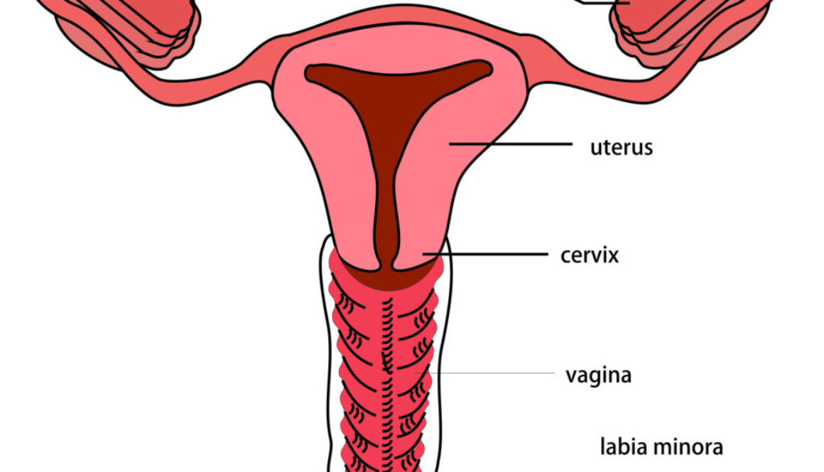 ¿Qué ocurre si tienes un mioma en el útero?