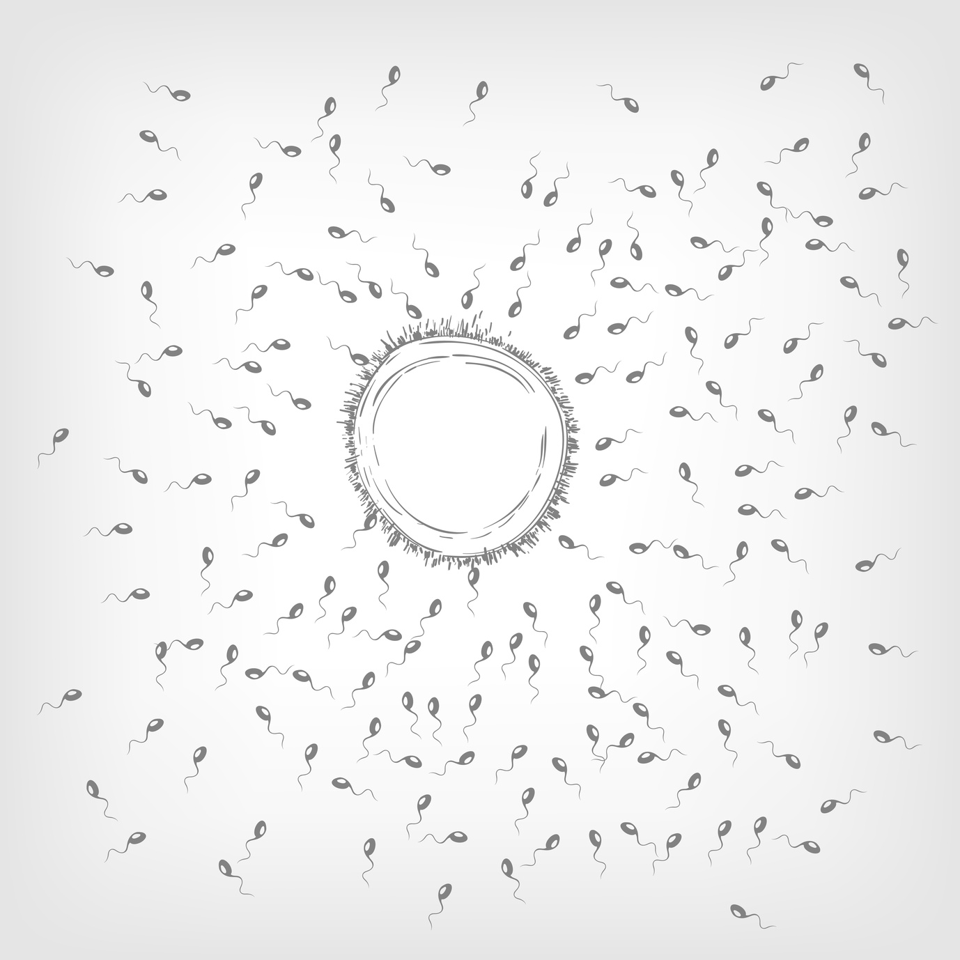 ¿Qué pautas hay que seguir con una azoospermia?