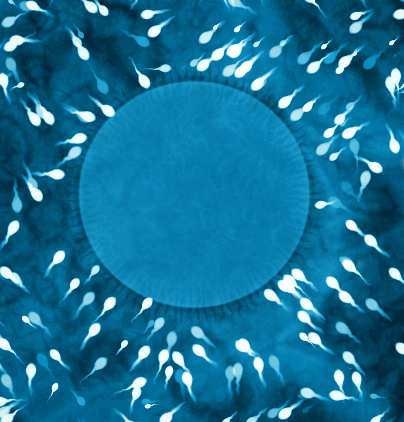 ¿Qué cantidad se considera un buen recuento de espermatozoides?