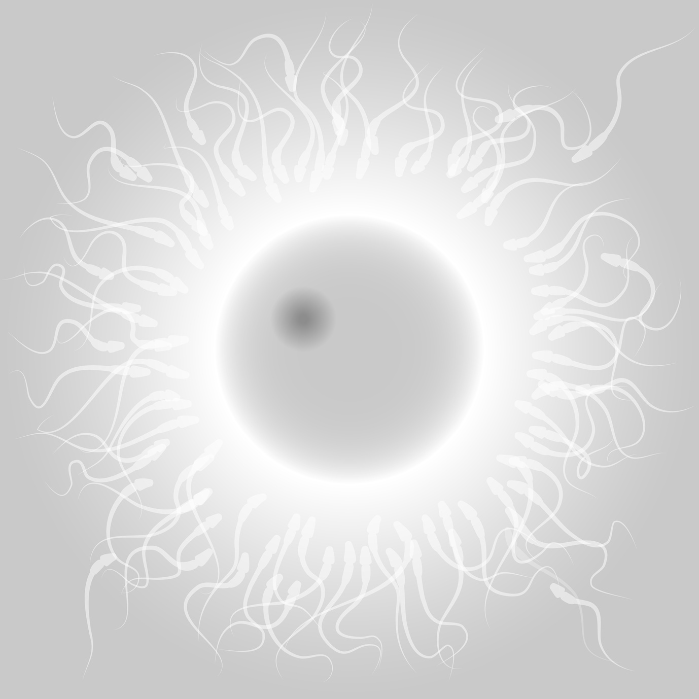 ¿Cuál es el coste de un donante de esperma?