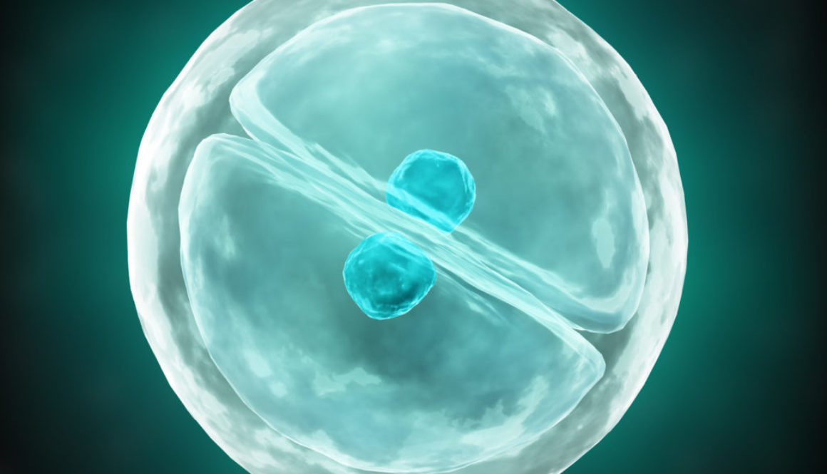 ¿Los corticoides perjudican a la fertilidad?