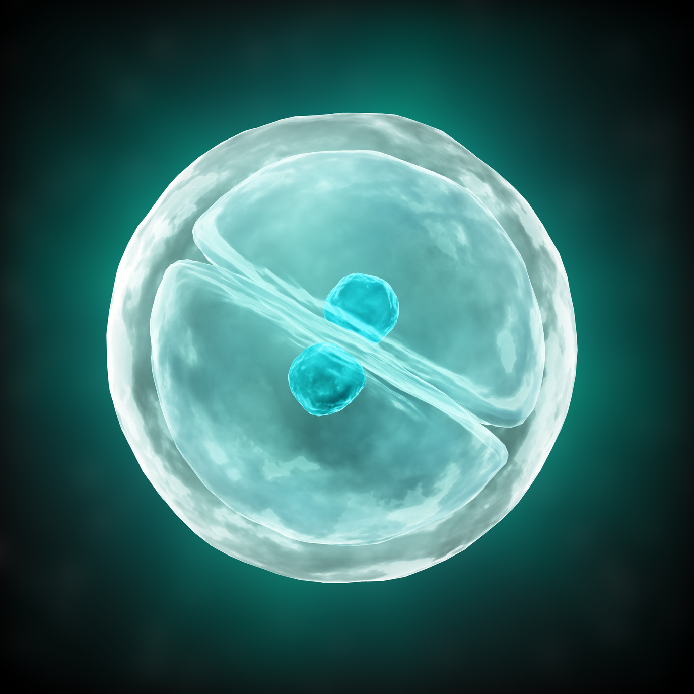 ¿Diferencia entre FIV con Ovodonación y FIV con embriones congelados?