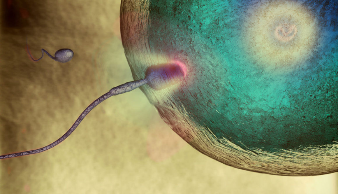 ¿Cual es la cantidad de espermatozoides que se considera dentro de la normalidad?