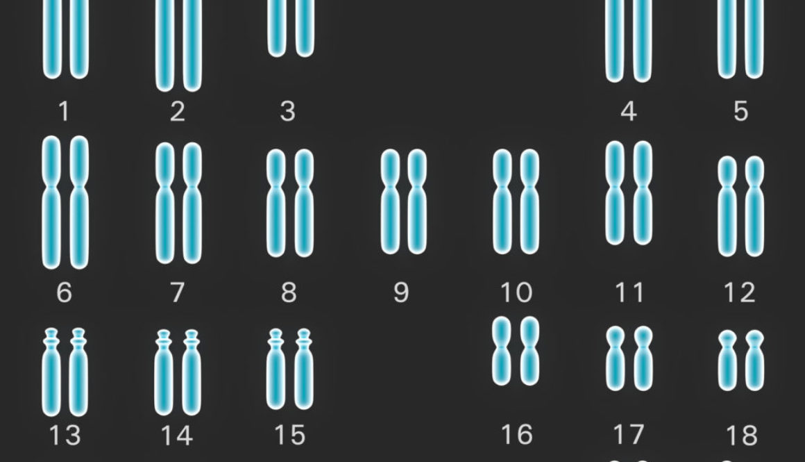 ¿Ha podido ser motivo de aborto qué los embriones tuvieran 3 pronúcleos?