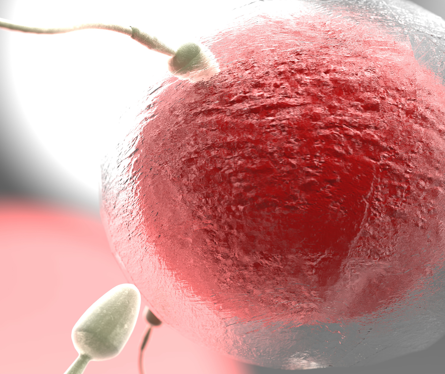 ¿Lo mas efectivo sería acudir a donante de óvulos?