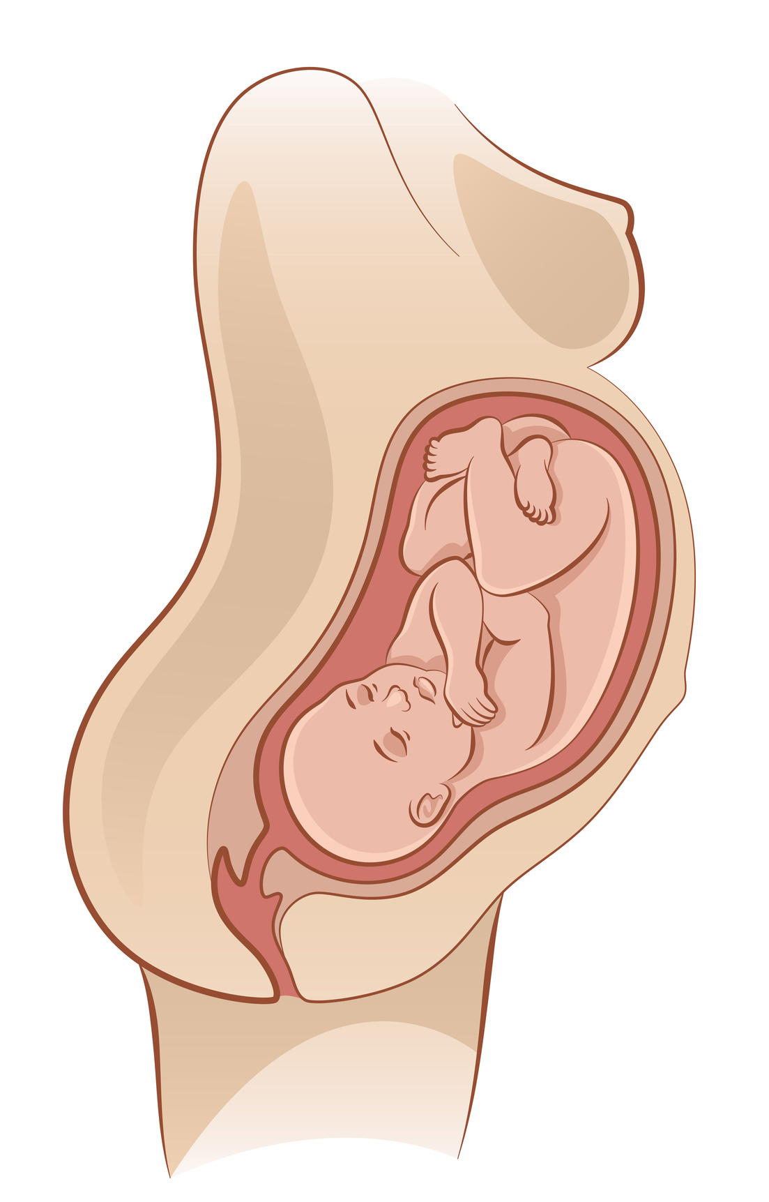 ¿Cuánto tiempo tarda en regularse la regla después de un parto?