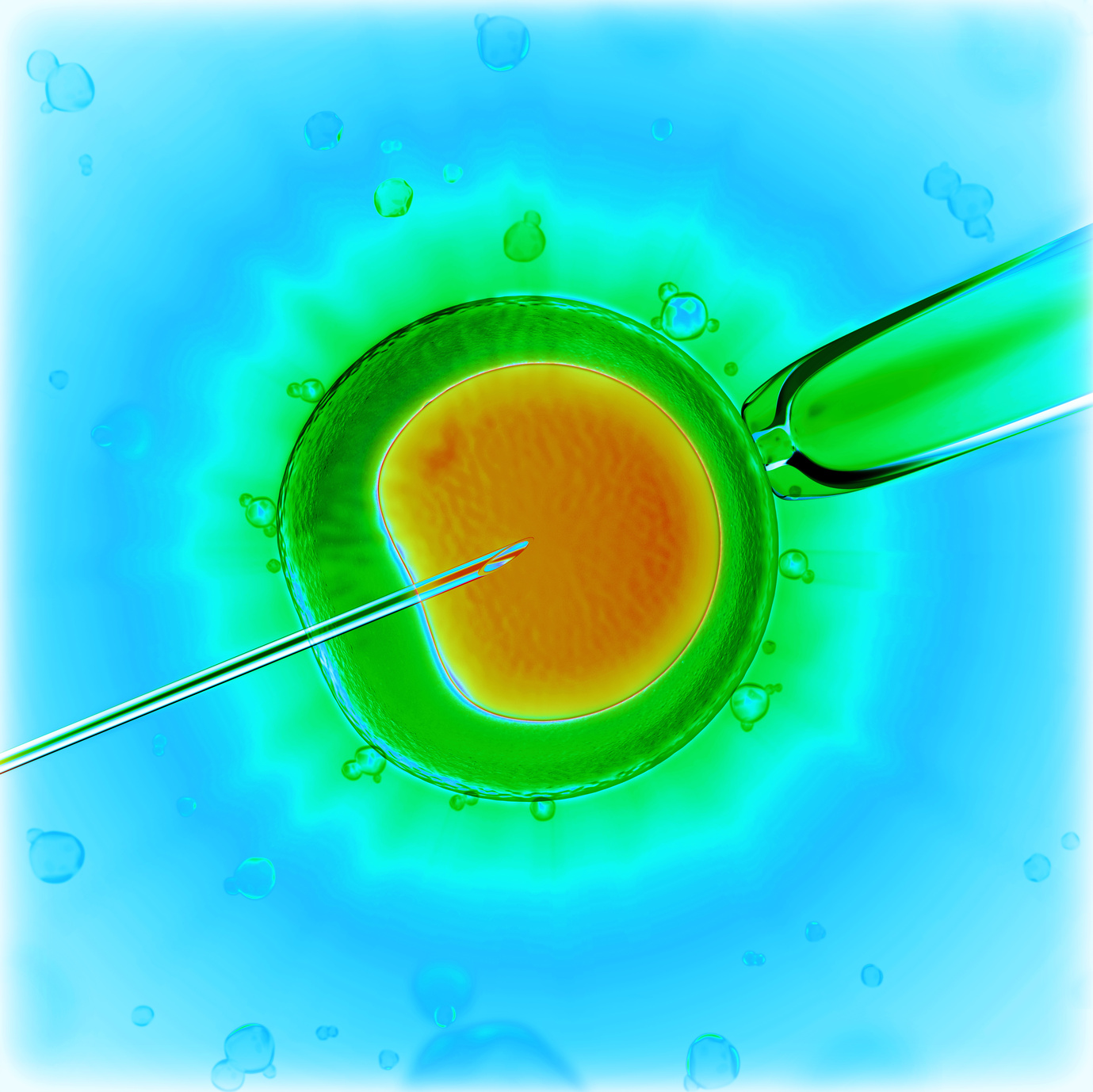 Con buenos embriones pero el resultado sin éxito ¿Qué me aconsejan?