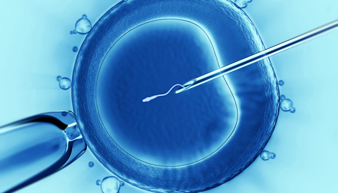 ¿Qué es una "FIV- TE"?