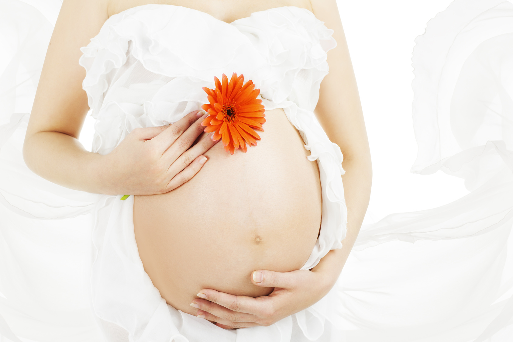 Pregnant Belly with Flower, Woman Pregnancy, Mother Stomach Skin