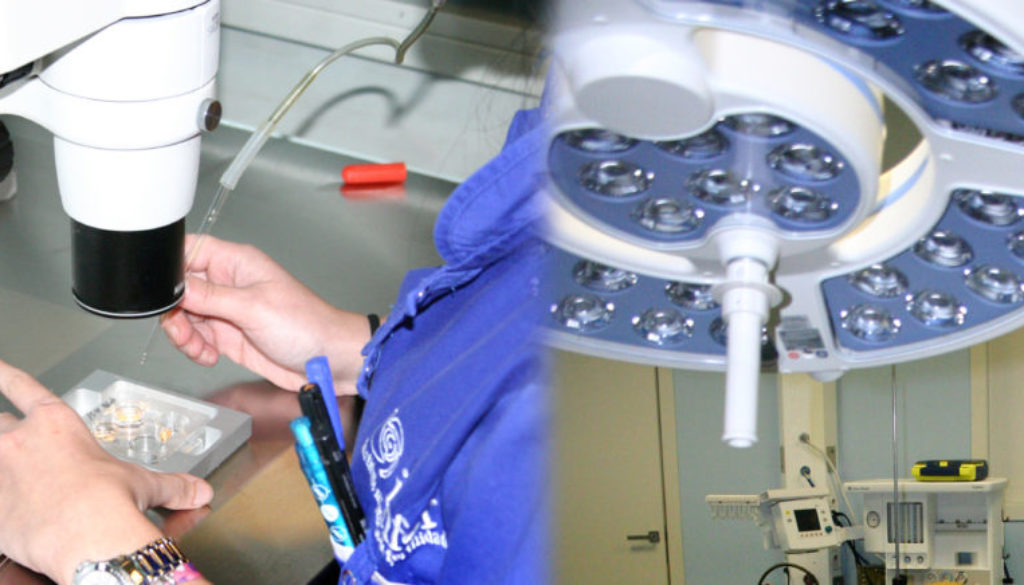 imfer_laboratorio1 imfer_laboratorio1
