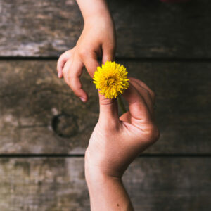 El doctor Álvarez Pinochet, asegura que someterse a tratamientos de fertilidad en época de Covid es «completamente seguro»