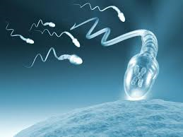 ¿No me quedo embarazada porque mi marido tiene los espermatozoides lentos?